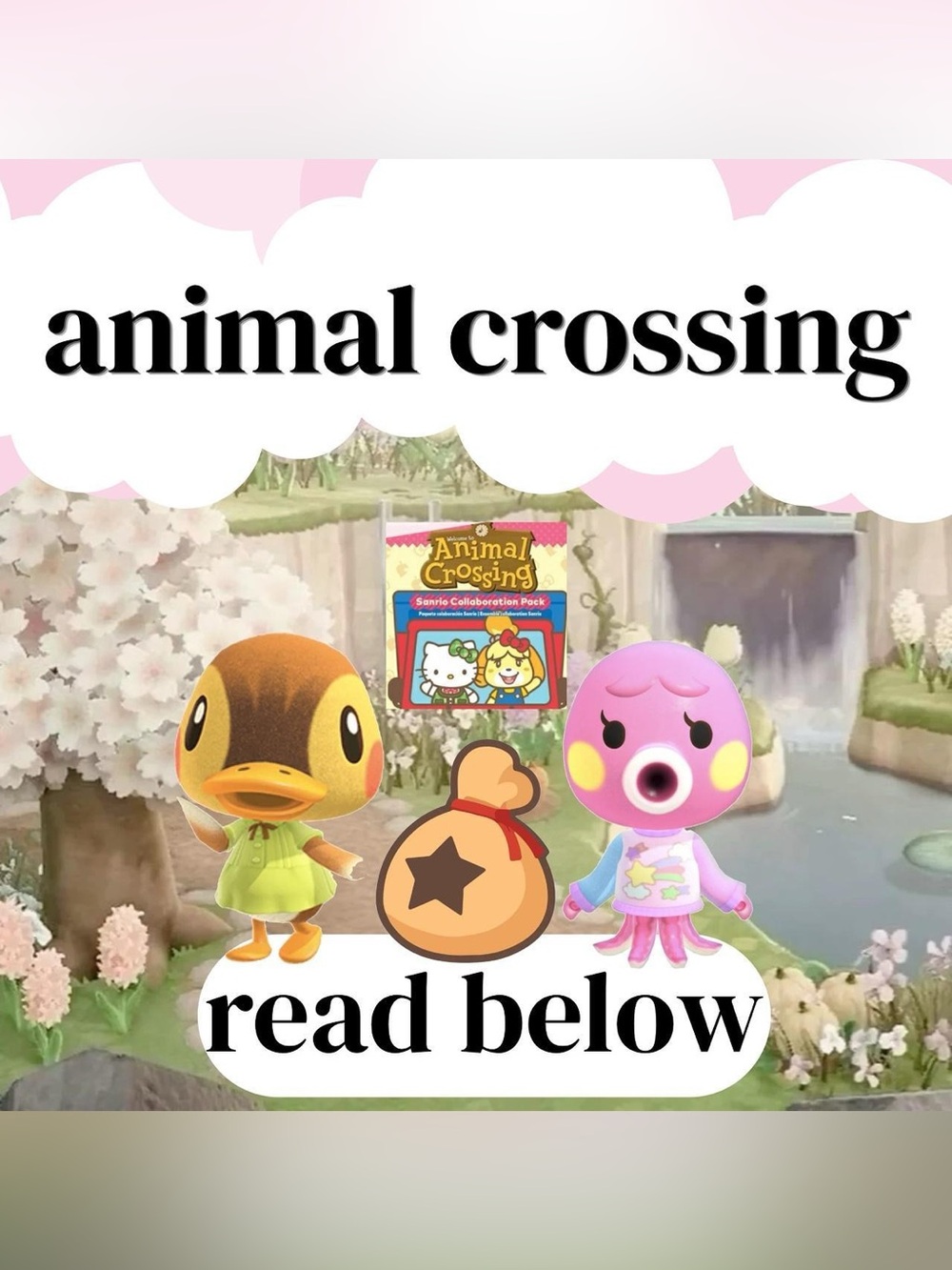 Animal Crossing and or Sanrio Collaboration Pack -